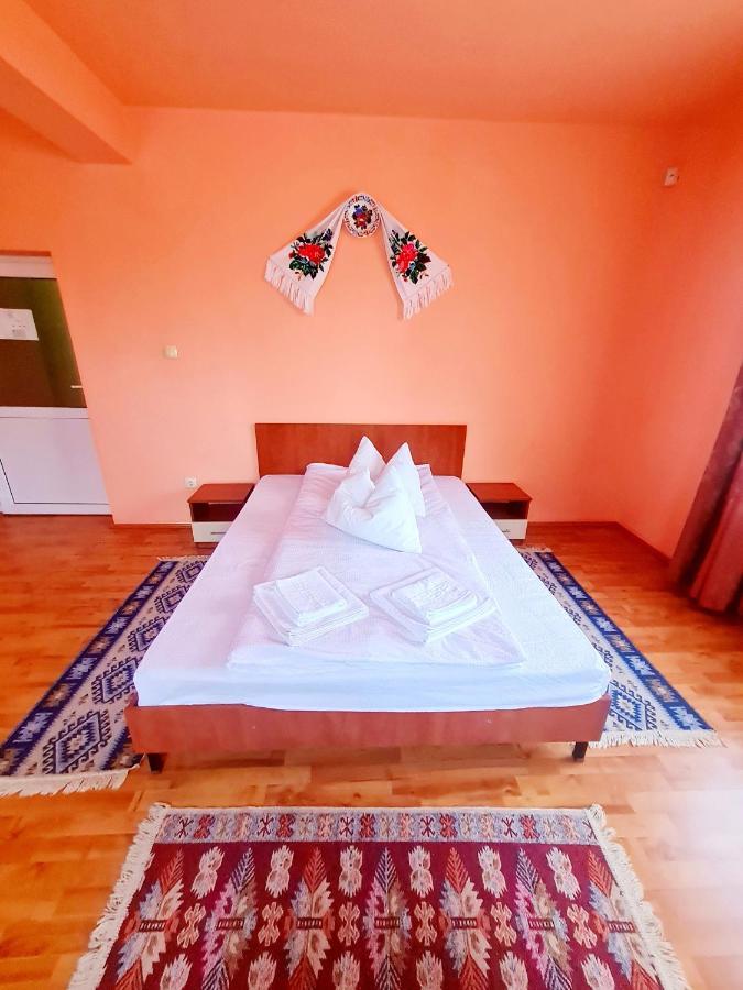 Hotel Pensiunea Sanziana Oradea Exterior foto